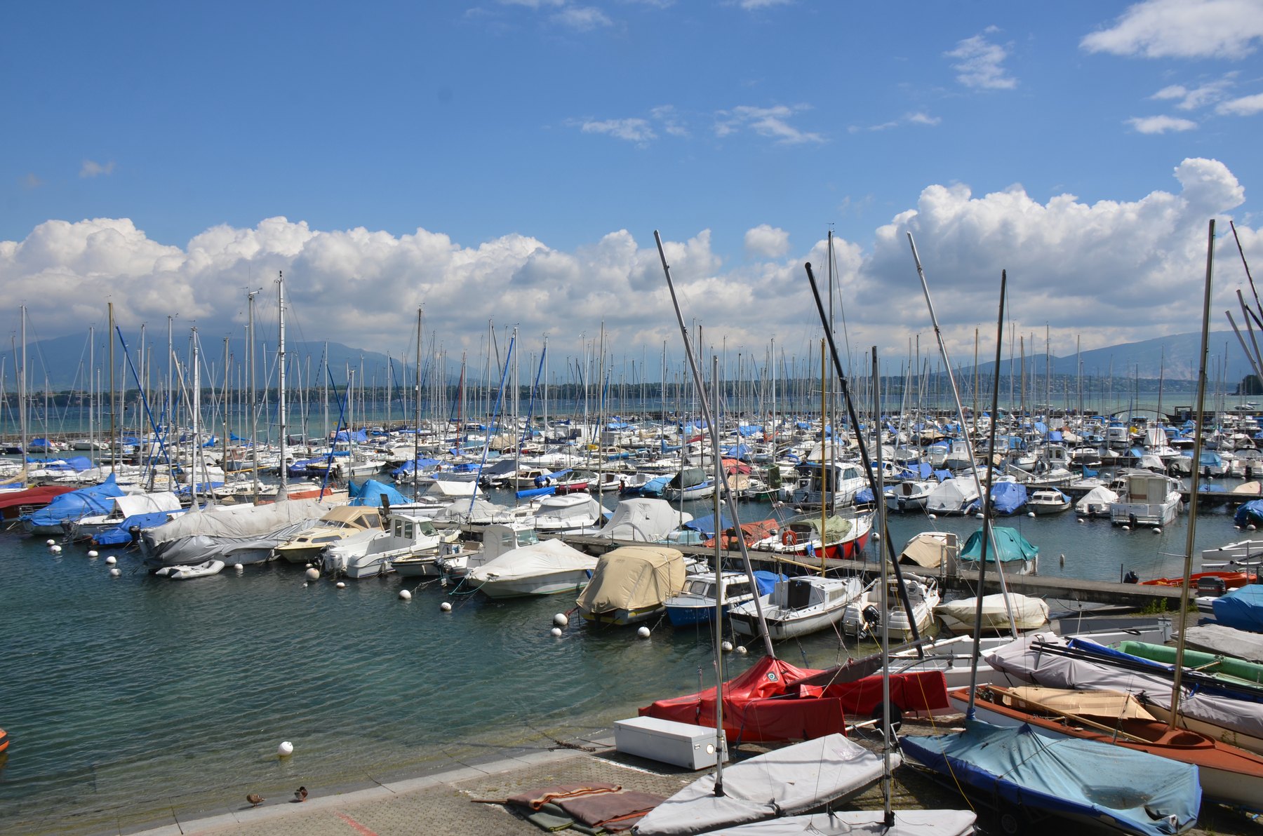 Le port de Versoix un jour clair, les mâts des bateaux devant le lac.
